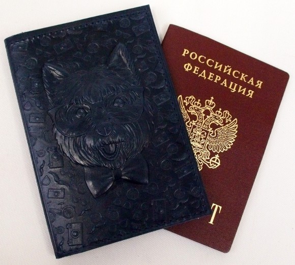 Купить оптом Обложка для паспорта "Хипстер Вест" кожа (3D) цвет синий