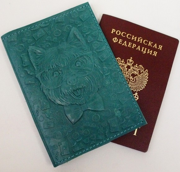 Купить оптом Обложка для паспорта "Хипстер Вест" кожа (3D) цвет бирюза
