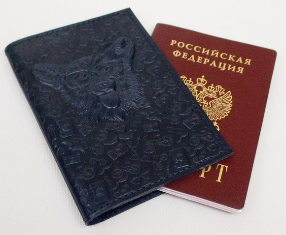 Купить оптом Обложка для паспорта "Хипстер Корги" кожа (3D) цвет синий