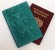 Купить оптом Обложка для паспорта "Хипстер Тигруля" кожа (3D) цвет бирюза