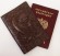Купить оптом Обложка для паспорта "Хипстер Мастер Тигрица" кожа (3D) цвет коричневый
