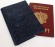 Купить оптом Обложка для паспорта "Хипстер Поросёнок" кожа (3D) цвет синий